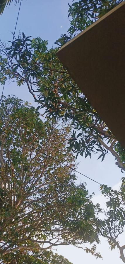 Petit Guest House Negombo Bagian luar foto